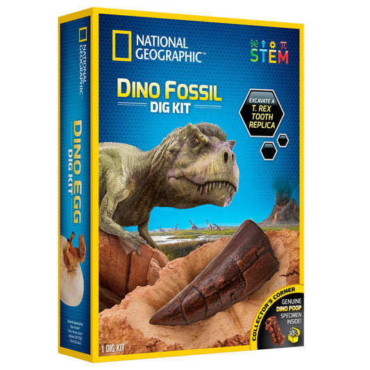 National Geographic Dino Fossil Dig Kit