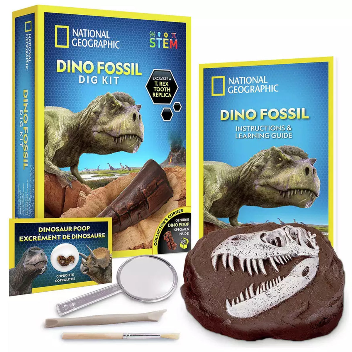 National Geographic Dino Fossil Dig Kit