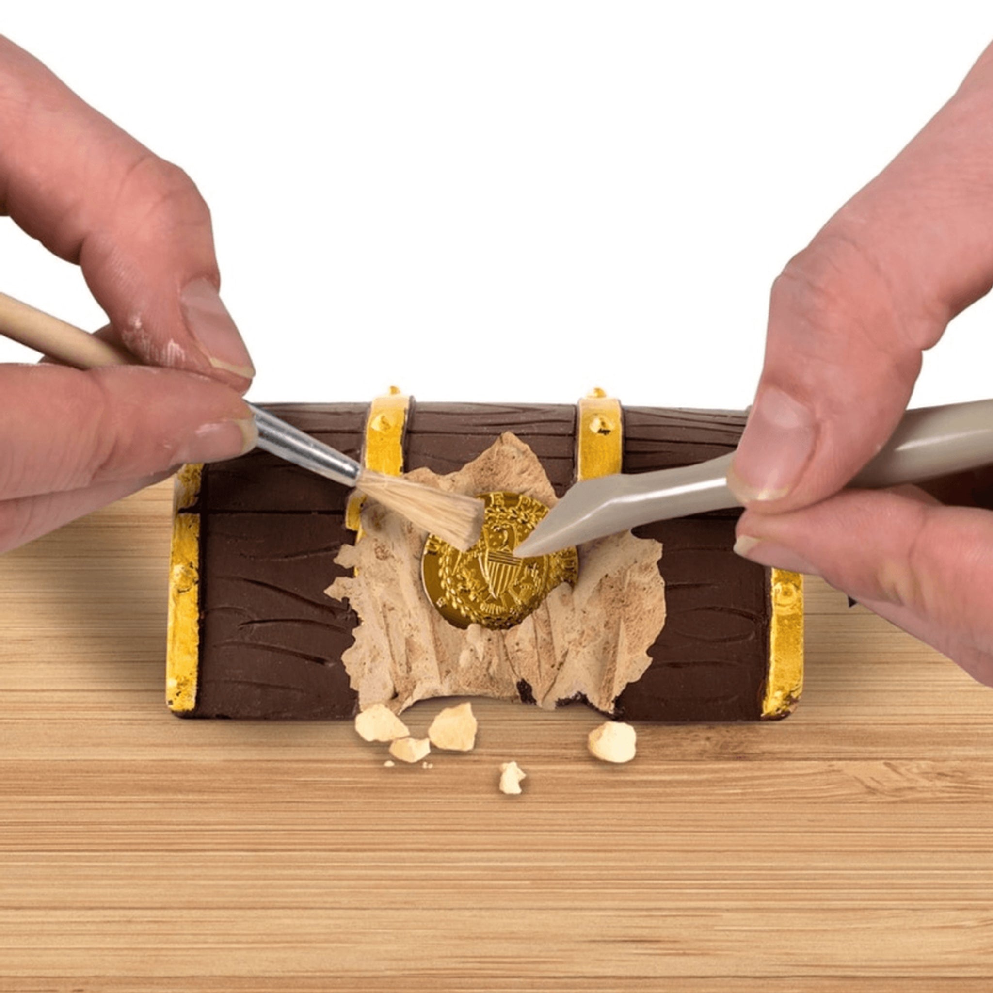 National Geographic Gold Dubloon Dig Kit – Animal Kingdoms Toy Store