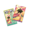 Pokemon TCG Shrouded Fable Mini Tin - Okidogi