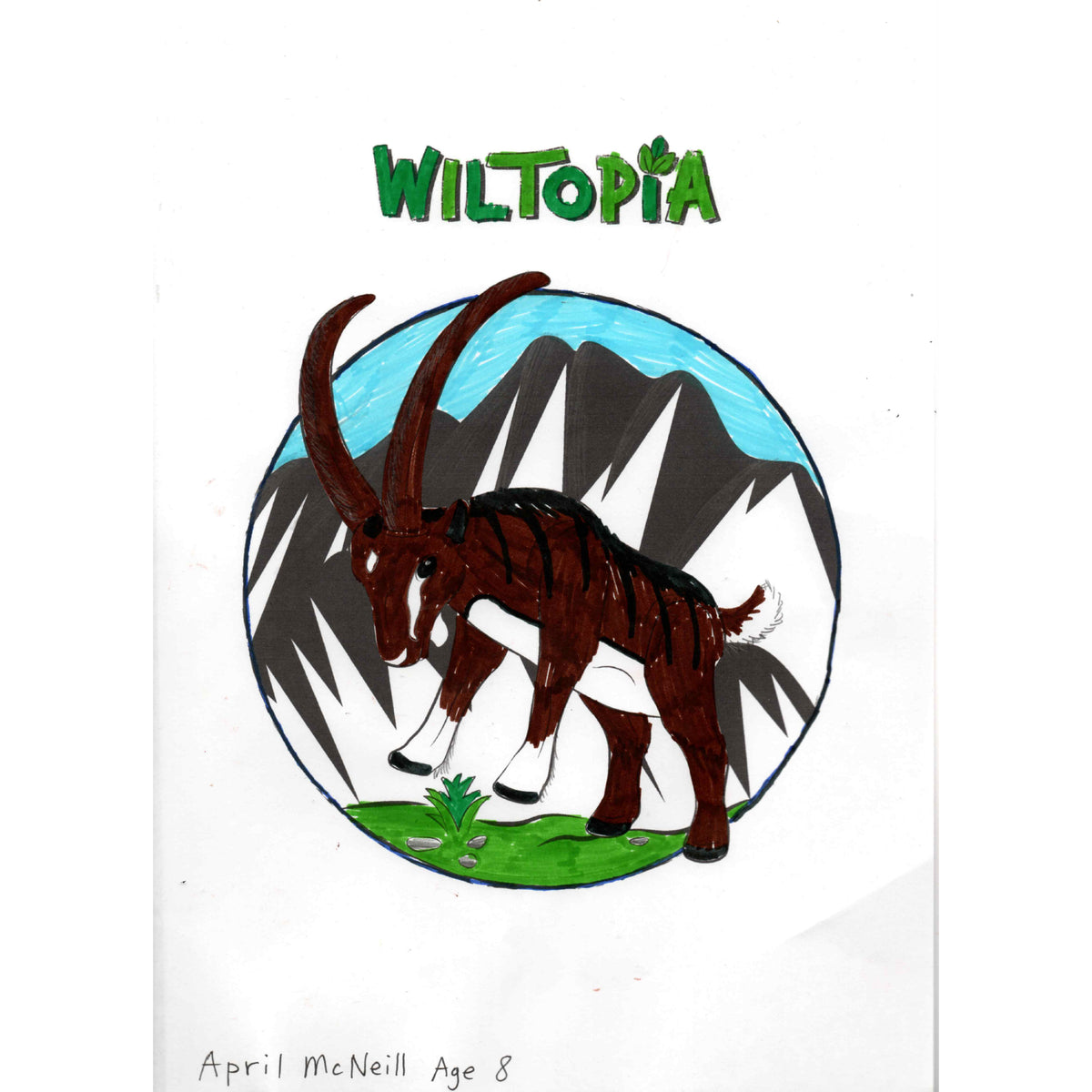 Colouring Competition Wiltopia 2023
