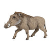 Papo Warthog