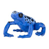 Mixed Amazon Rainforest Wildlife  – 15 piece set