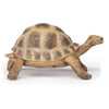 Papo Hermann's Tortoise