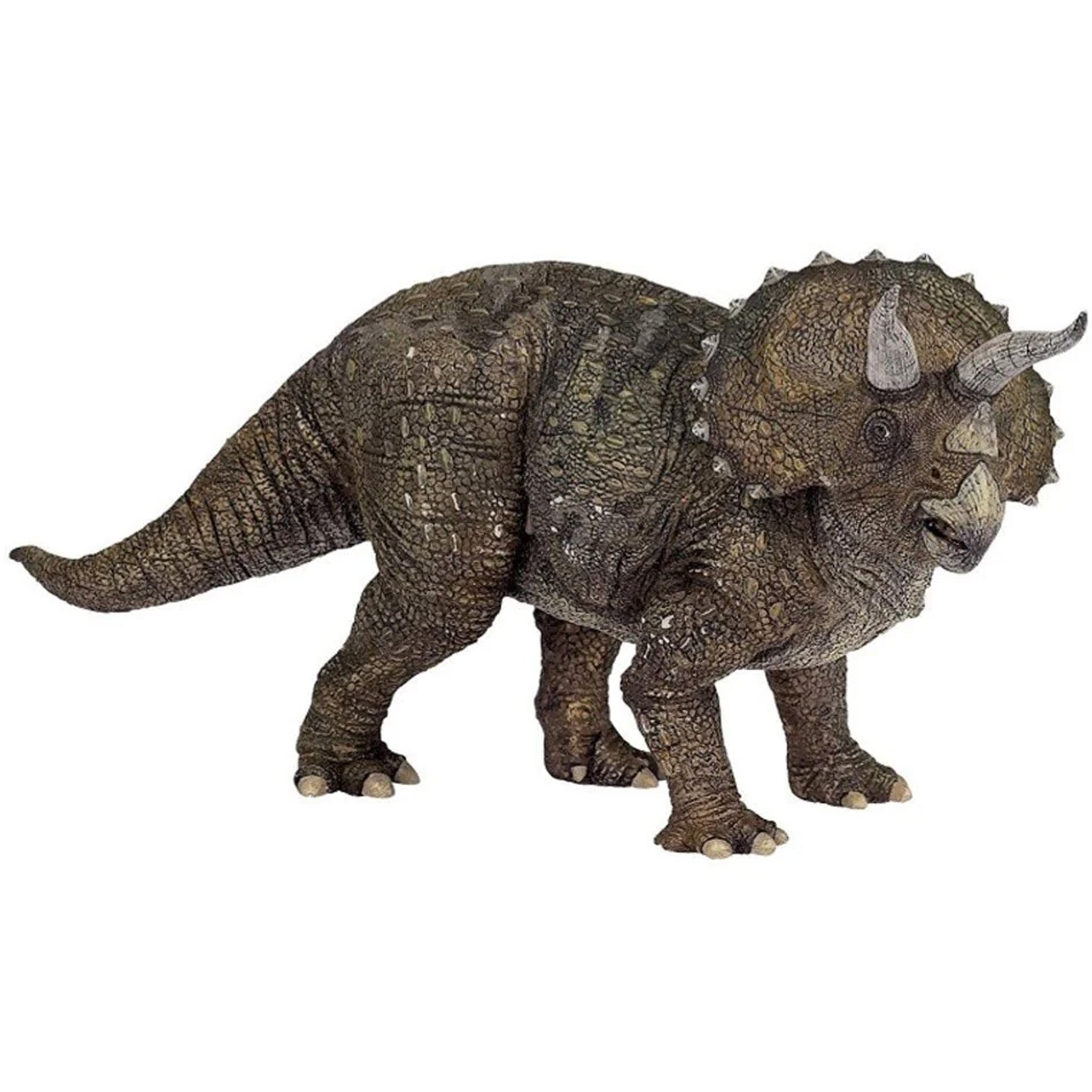 Dinosaur Figures Papo Dinosaurs 2019 Papo Triceratops – Animal Kingdoms Toy Store