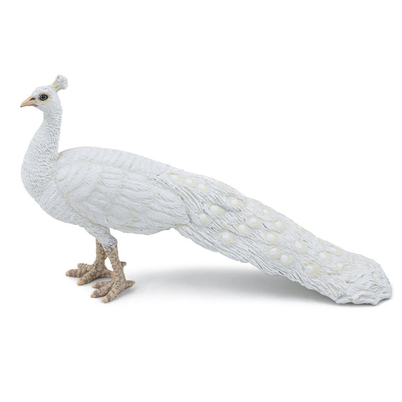 Papo White Peacock