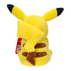 Pokemon Happy Pikachu Plush