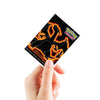 Pokemon TCG Neon Kanto APEX Deck Protector Sleeves Charizard