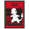 Pokemon TCG ULTRA PRO Deck Protector Sleeves x65 - Charmander