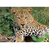 Ravensburger Louging Leopard 100pc