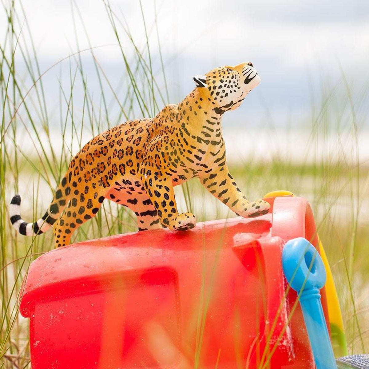 Safari Ltd Jaguar XL