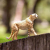 Safari Ltd Cheetah XL