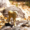 Safari Ltd Cheetah XL