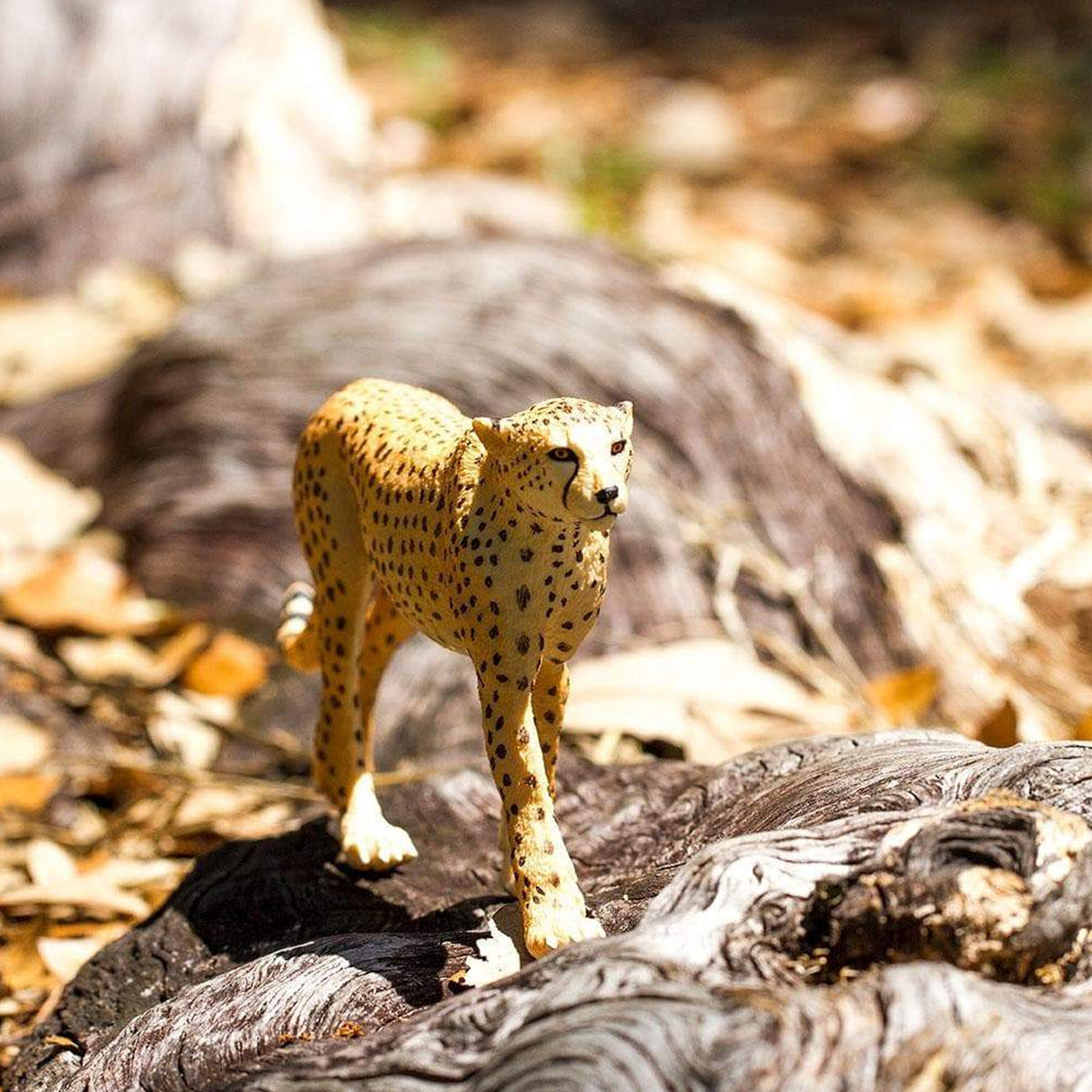 Safari Ltd Cheetah XL