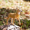 Safari Ltd Whitetail Buck XL