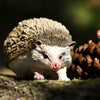 Safari Ltd Hedgehog XL