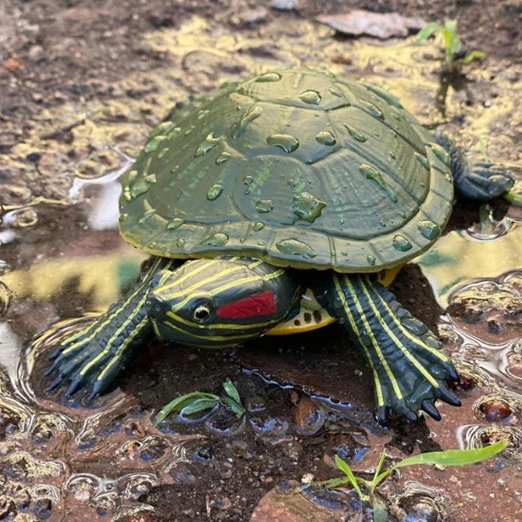 Safari Ltd Red-Eared Slider Turtle XL – Animal Kingdoms Toy Store