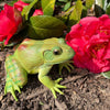 Safari Ltd American Bullfrog XL