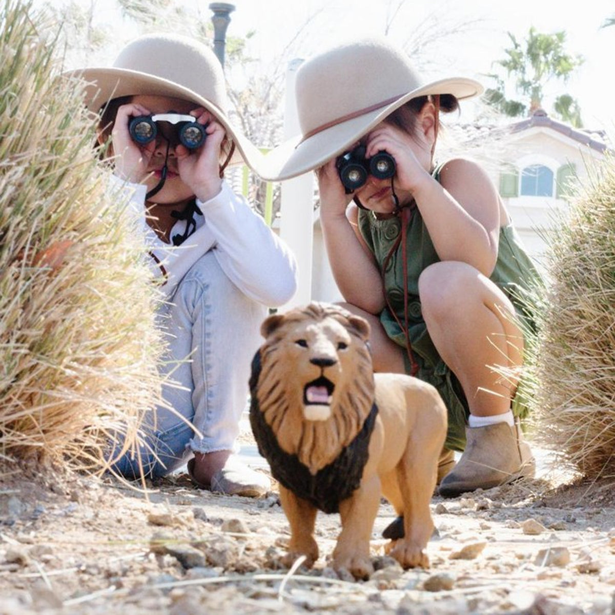 Safari Ltd Lion XL