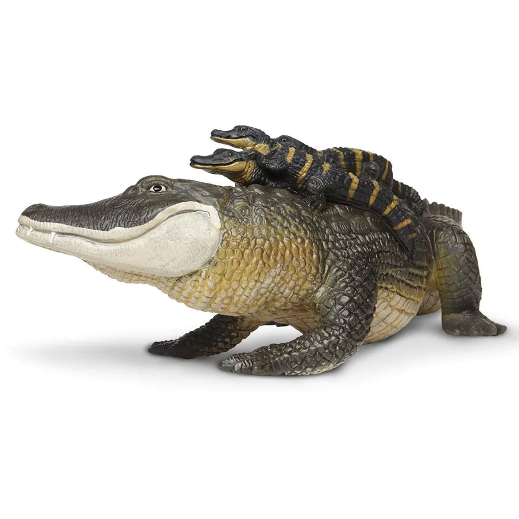 Safari Ltd Alligator With Babies XL – Animal Kingdoms Toy Store