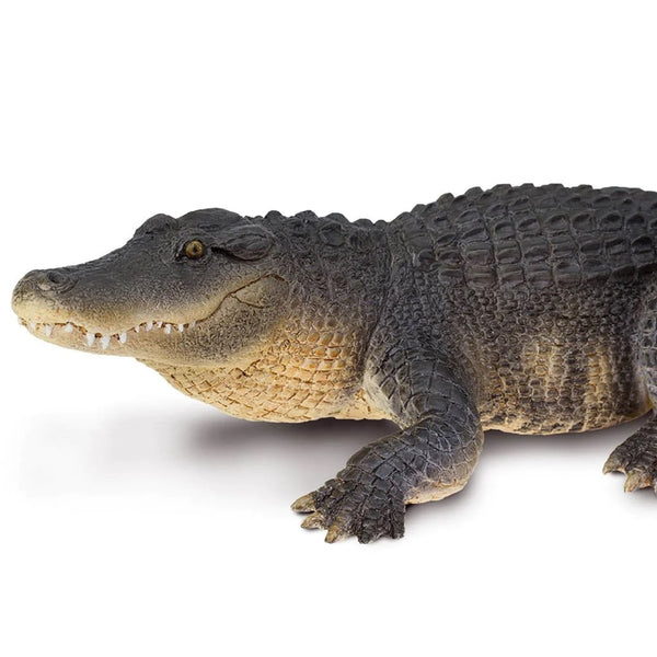 Safari Ltd Alligator XL – Animal Kingdoms Toy Store