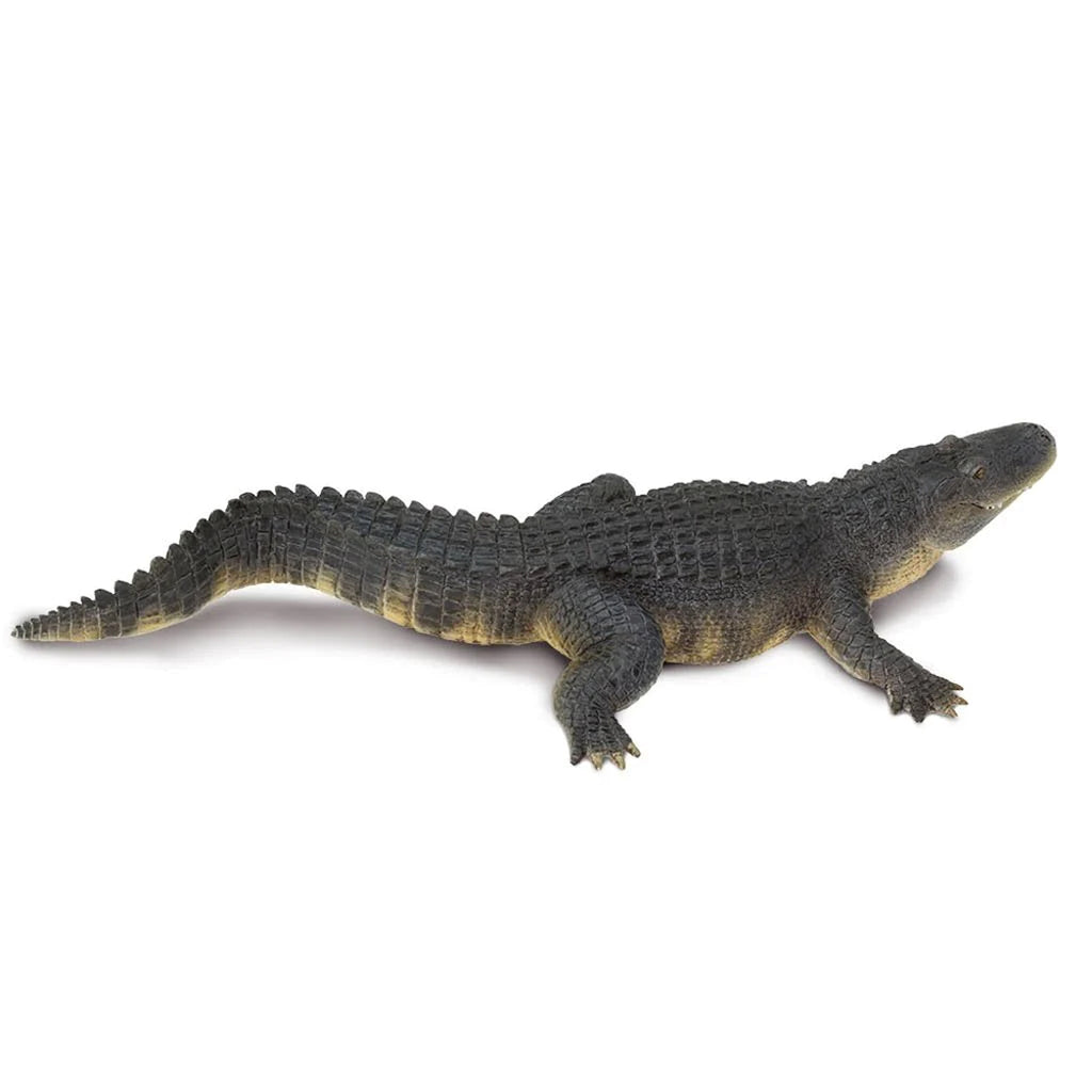 Safari Ltd Alligator XL – Animal Kingdoms Toy Store