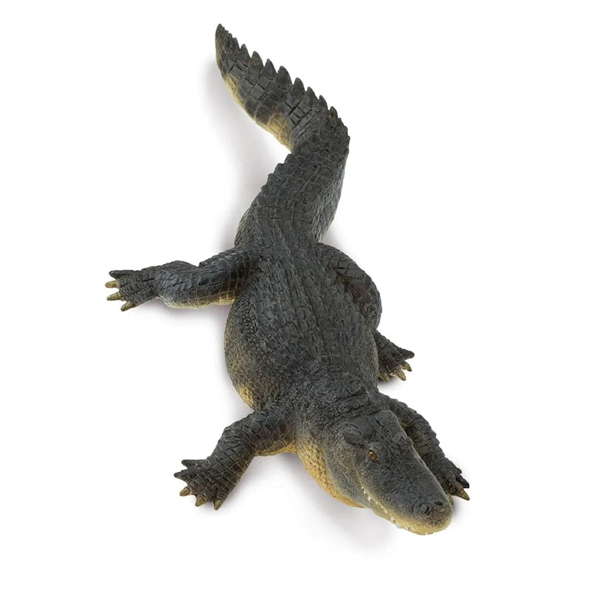 Safari Ltd Alligator XL