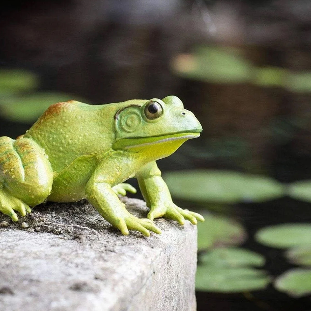 Safari Ltd American Bullfrog XL
