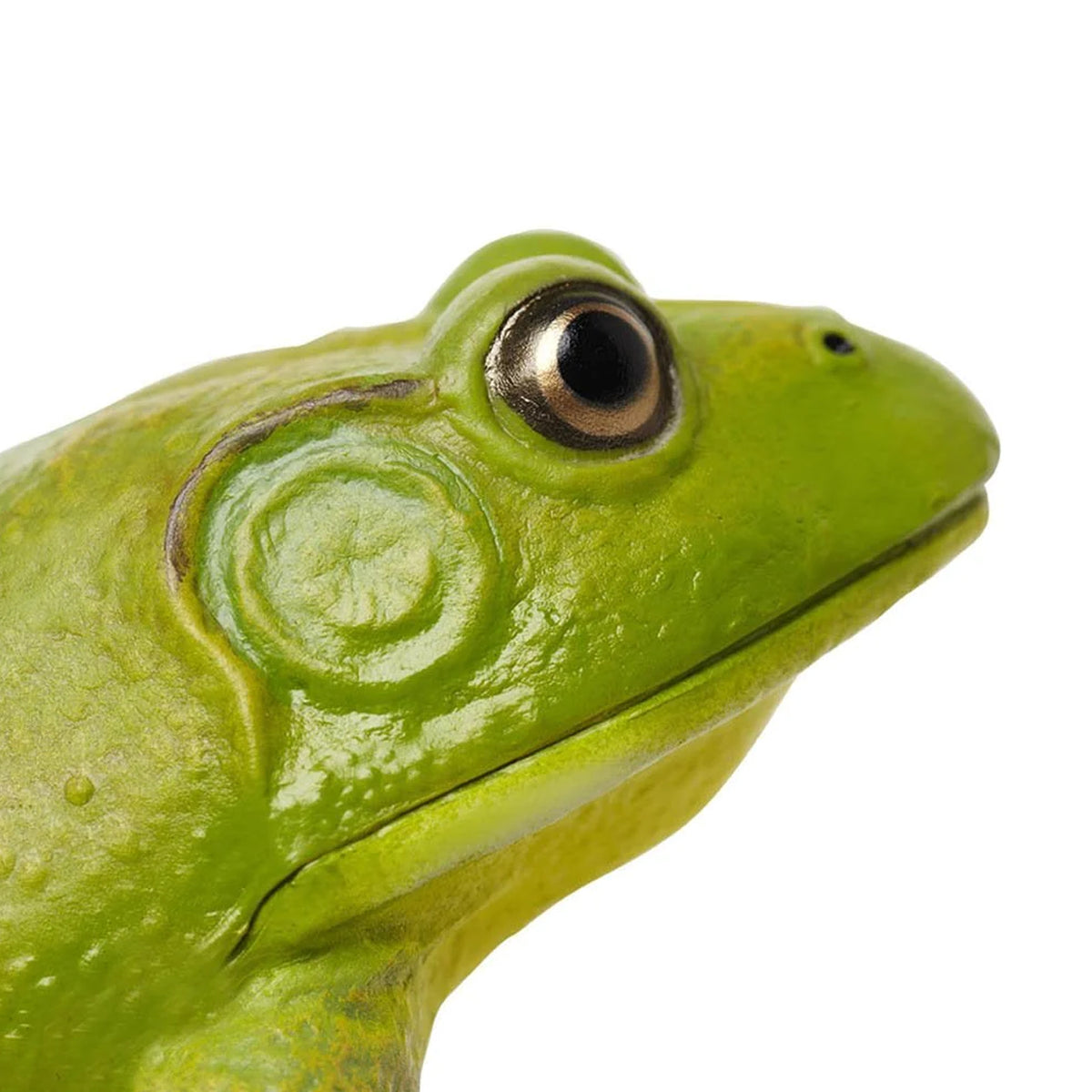 Safari Ltd American Bullfrog XL