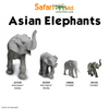 Safari Ltd Asian Animals Toob