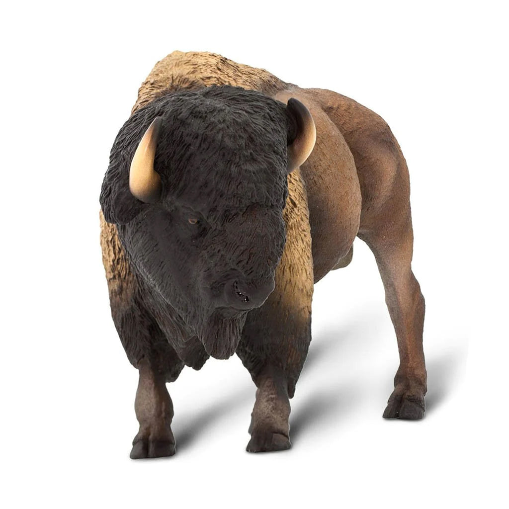 bison safari ltd