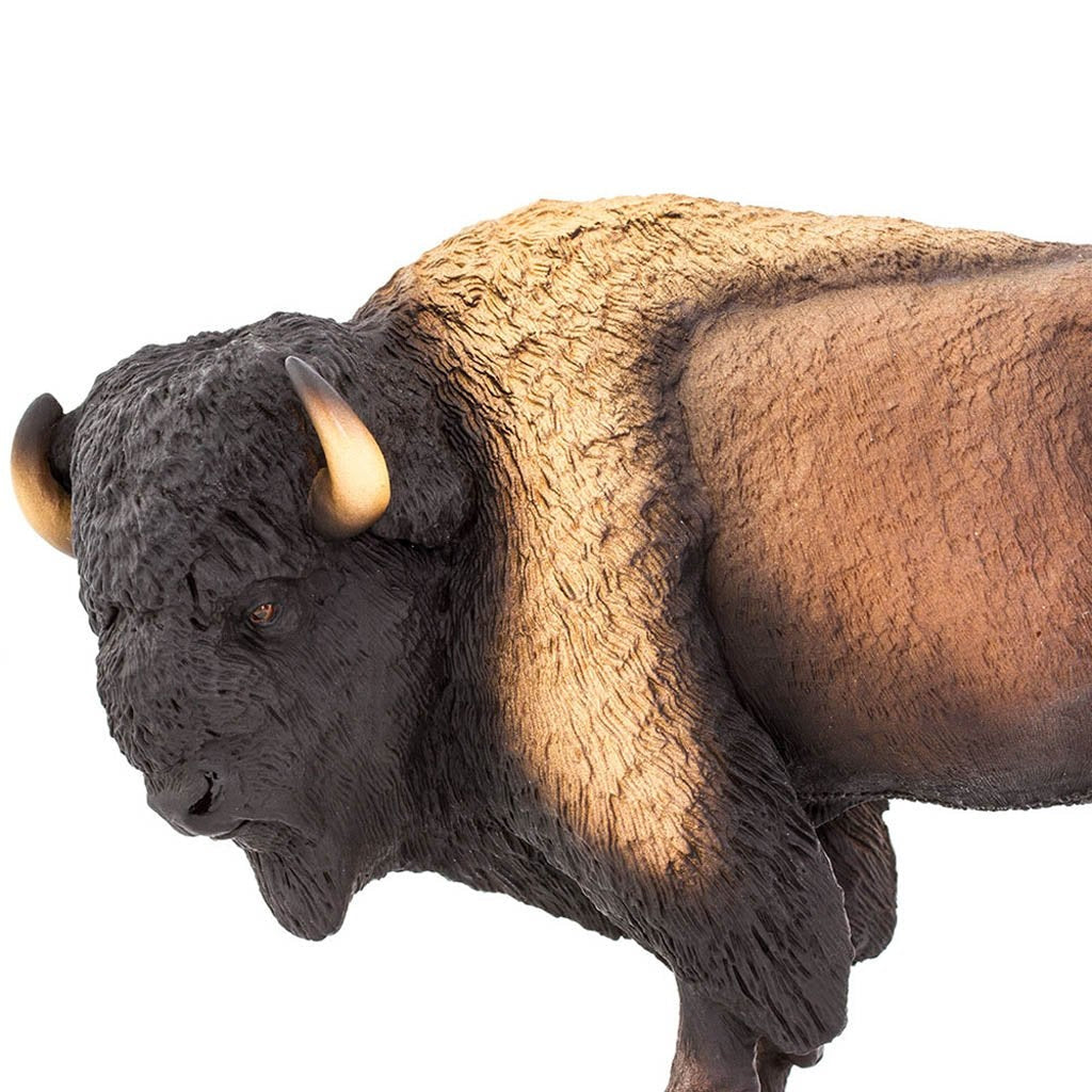 bison safari ltd