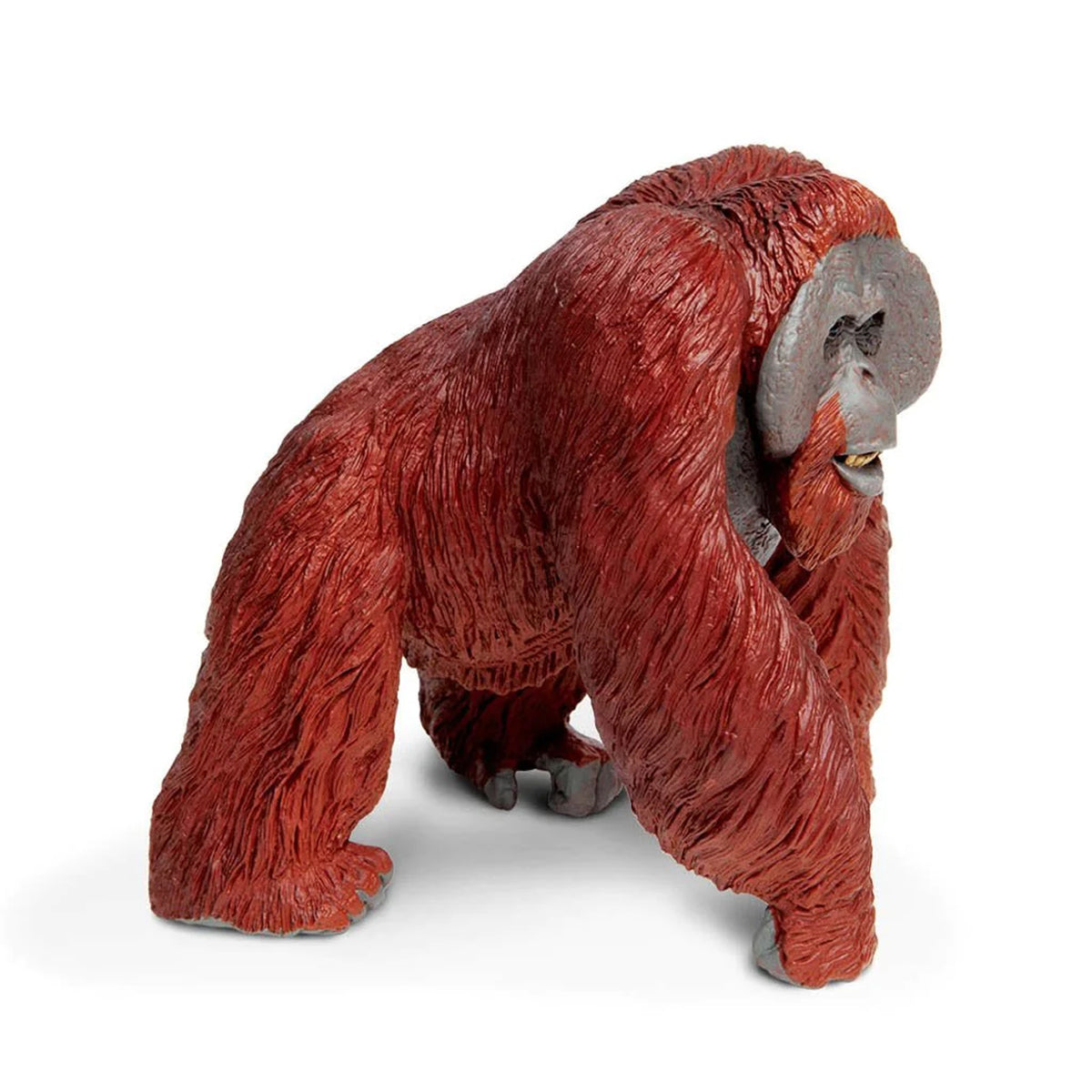Safari Ltd Bornean Orangutan XL