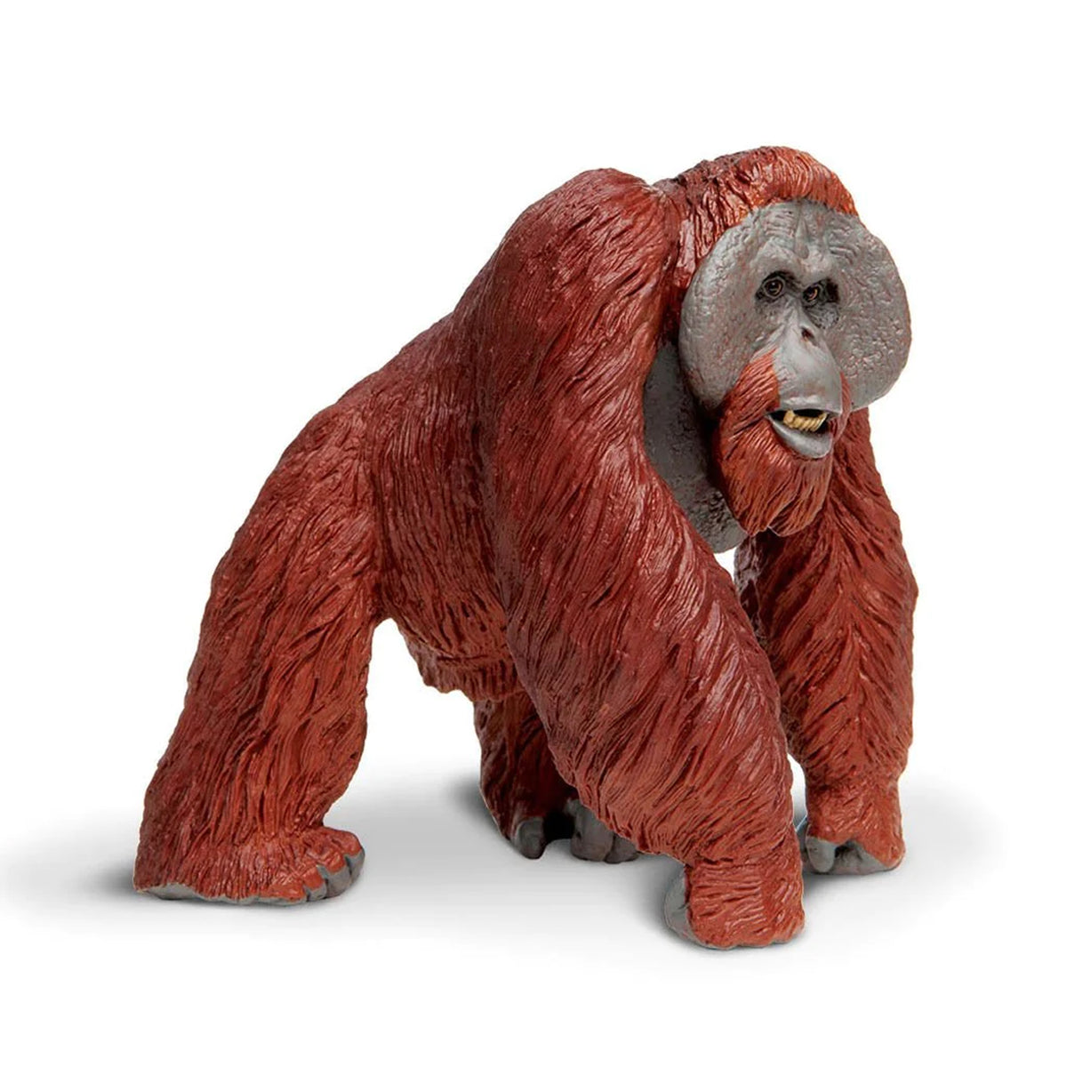 Safari Ltd Bornean Orangutan XL