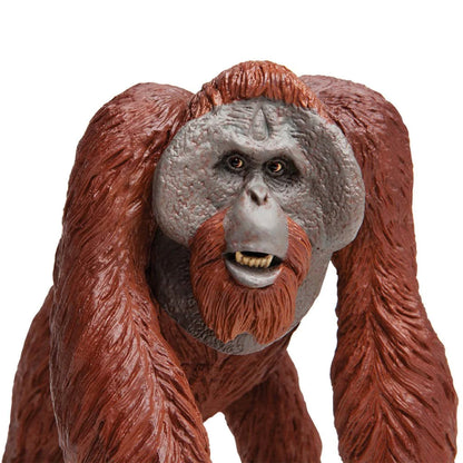 Safari Ltd Bornean Orangutan XL