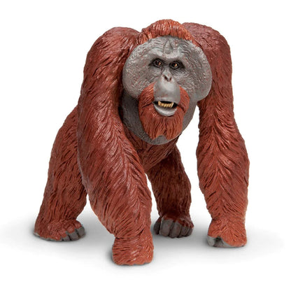 Safari Ltd Bornean Orangutan XL