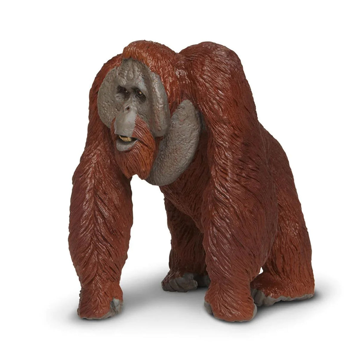 Safari Ltd Bornean Orangutan XL