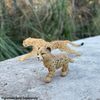 Safari Ltd Cheetah Cub