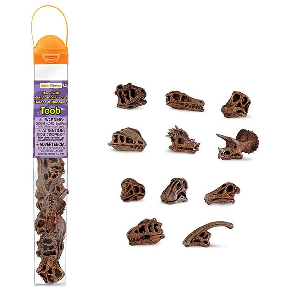Safari Ltd Dinosaur Skulls Toob
