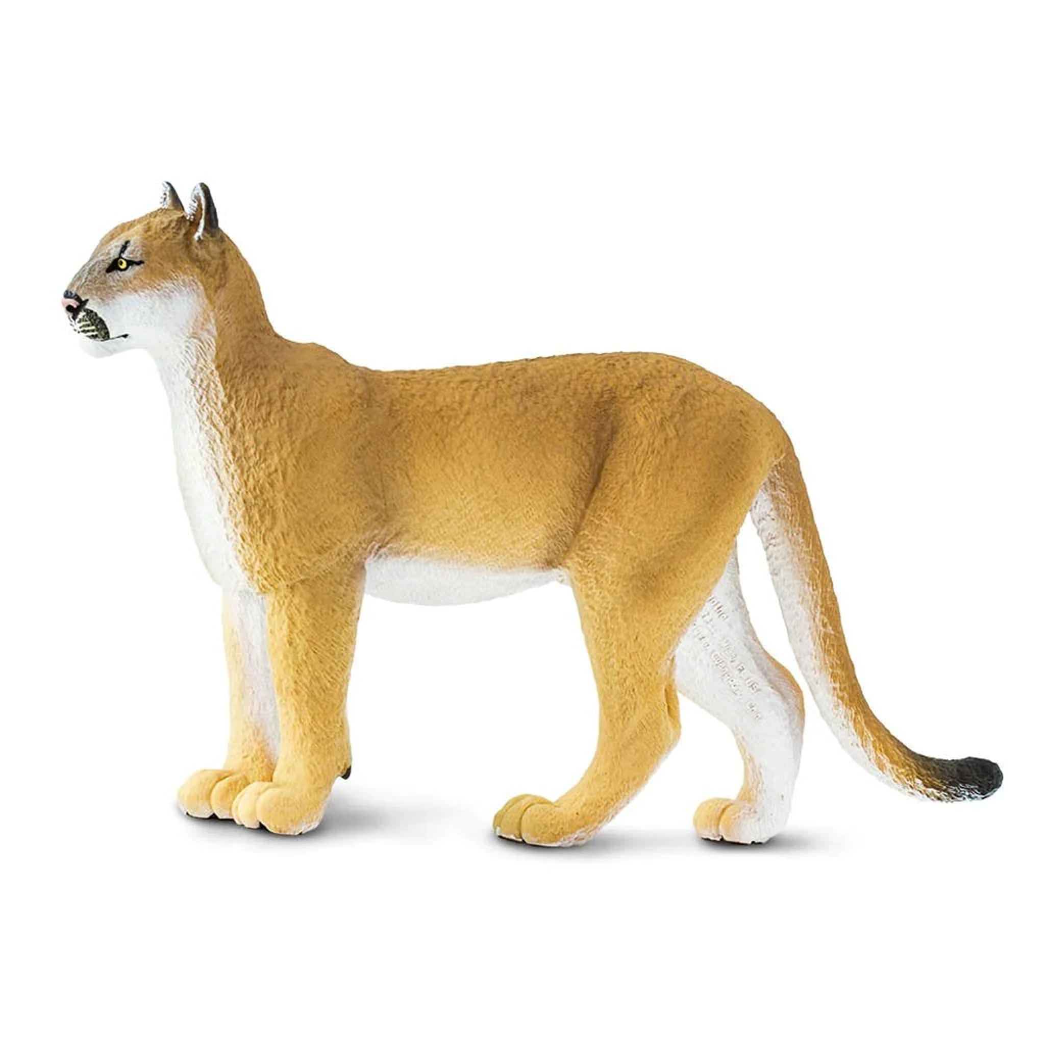 Safari Ltd Florida Panther XL – Animal Kingdoms Toy Store