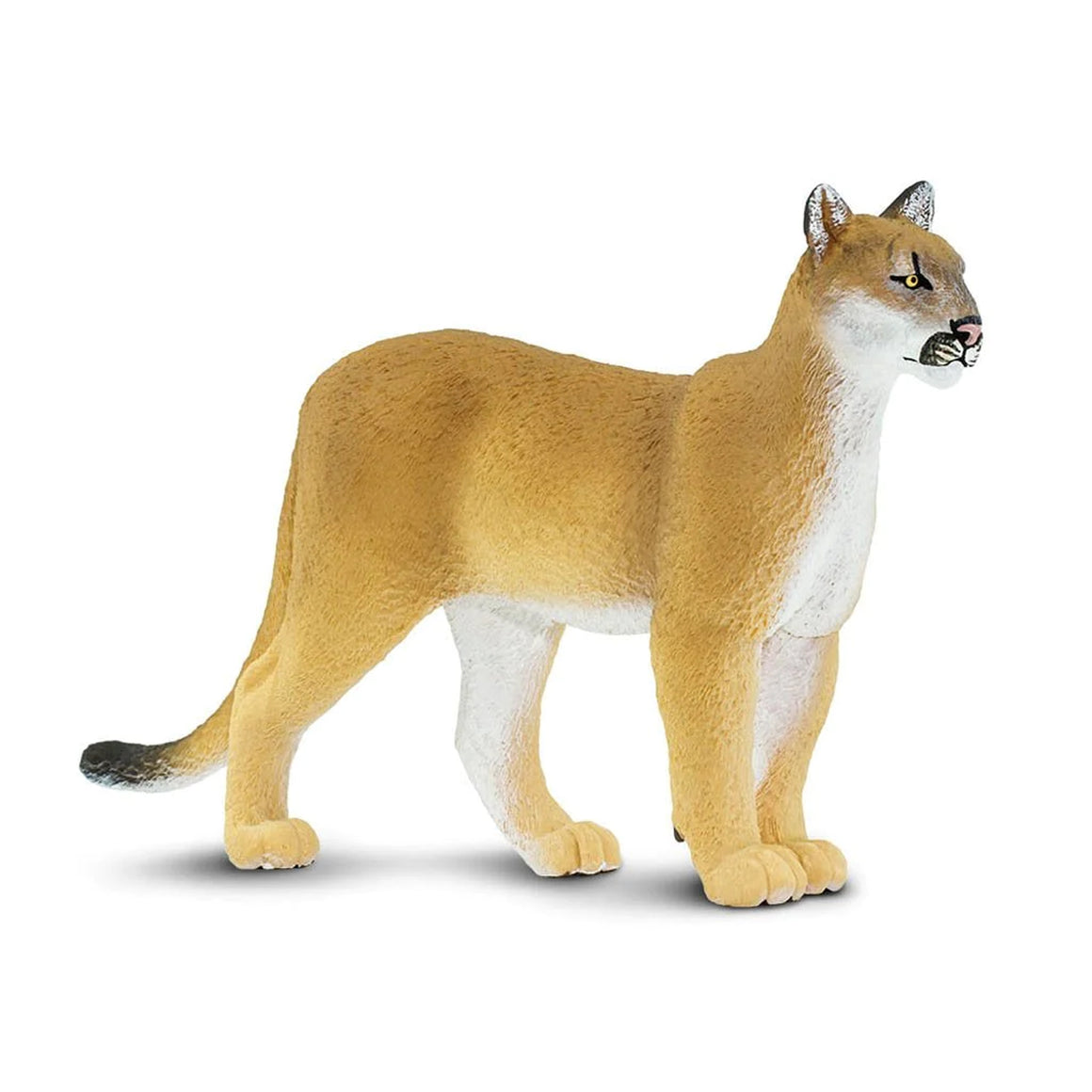 Safari Ltd Wildlife Wonders – Animal Kingdoms Toy Store