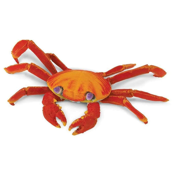 Safari Ltd Galapagos Sally Lightfoot Crab XL