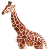 Safari Ltd Giraffe