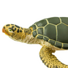 Safari Ltd Green Sea Turtle