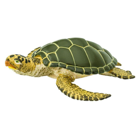 Safari Ltd Green Sea Turtle