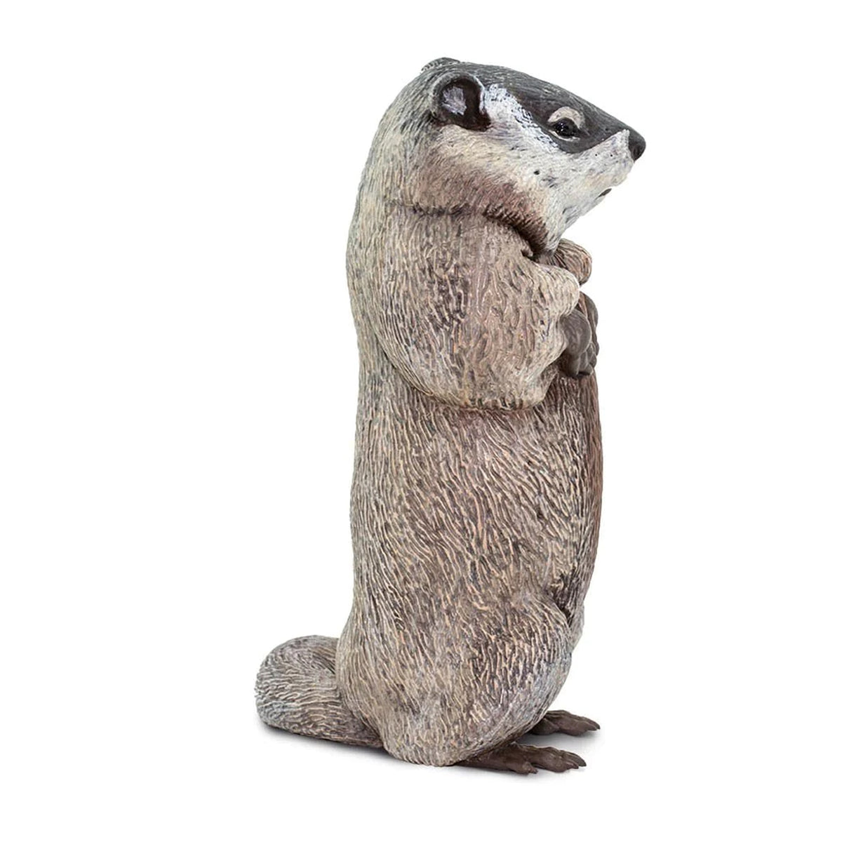 Safari Ltd Groundhog XL