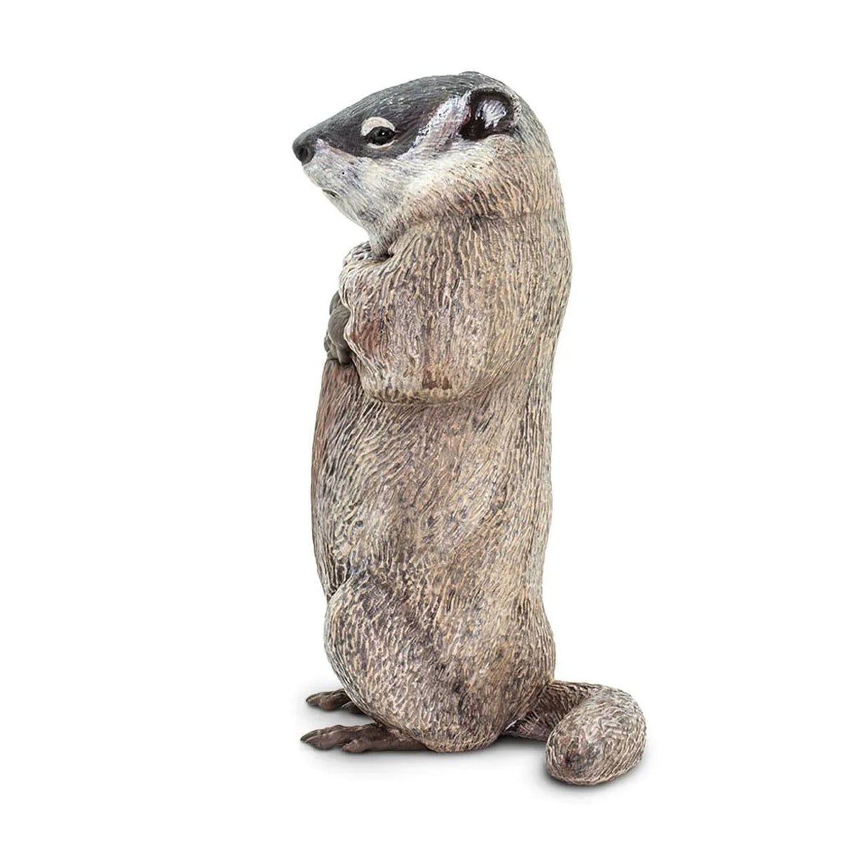 Safari Ltd Groundhog XL