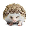 Safari Ltd Hedgehog XL