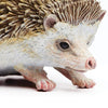 Safari Ltd Hedgehog XL