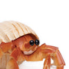 Safari Ltd Hermit Crab XL